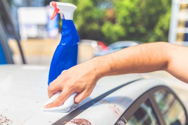Will Lacquer Thinner Damage Car Paint? (Explained)