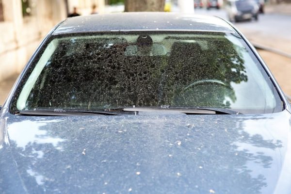 Will CLR Remove Hard Water Stains from Auto Glass? (Explained)