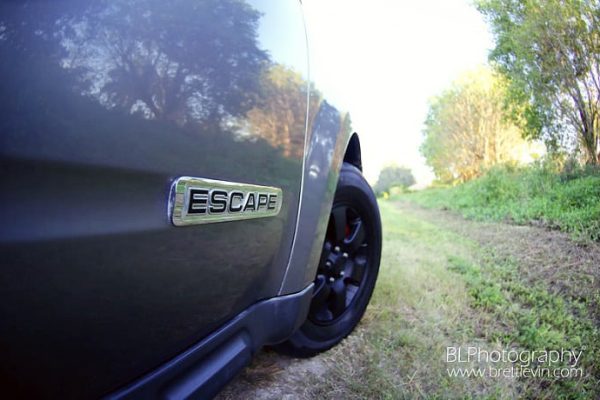 How To Remove Plasti Dip Overspray? (Explained)