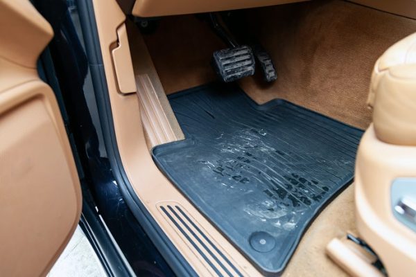 Can You Put Car Mats In The Dryer? (Explained)