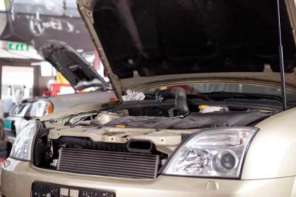 Is Hood Insulation Necessary? (Solved)